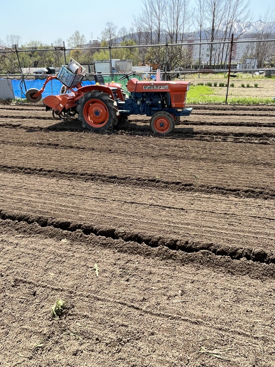 DYHTY8isoi65512's tweet image. GWはミニ耕運4駆💁🏽‍♂️

朝から畑を耕すミニ耕運4駆をグリースアップや清掃、オイル点検メンテナンス🛠️

札幌も暖かくなったので家庭菜園の畑を耕しました‼️

子供達が野菜🥬を好きになれば…と始めた家庭菜園😤
いっこうに好きになってくれません🥲
子供達が学校休みになったら家族全員で
植え付けだ🤫