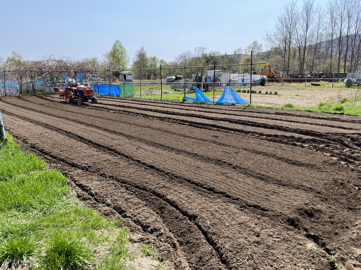 DYHTY8isoi65512's tweet image. GWはミニ耕運4駆💁🏽‍♂️

朝から畑を耕すミニ耕運4駆をグリースアップや清掃、オイル点検メンテナンス🛠️

札幌も暖かくなったので家庭菜園の畑を耕しました‼️

子供達が野菜🥬を好きになれば…と始めた家庭菜園😤
いっこうに好きになってくれません🥲
子供達が学校休みになったら家族全員で
植え付けだ🤫