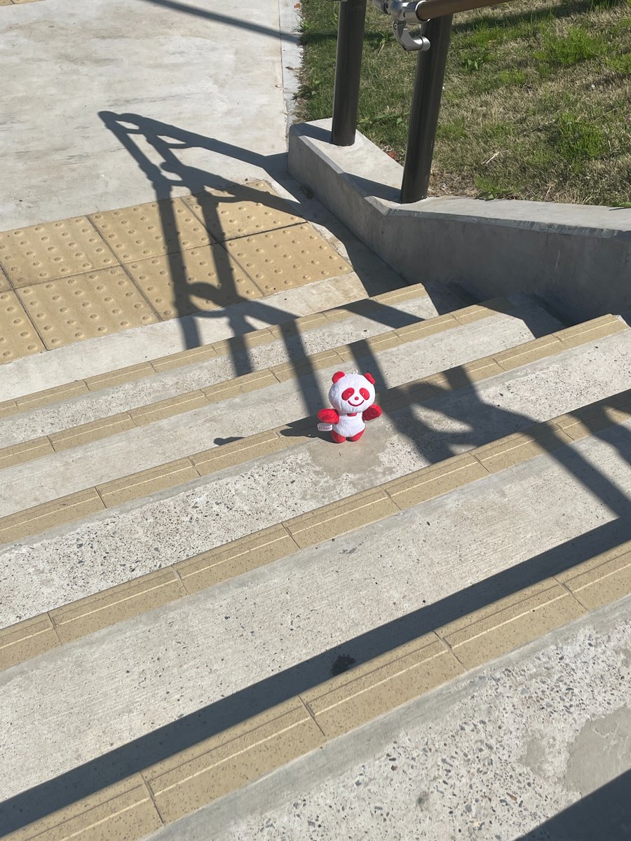 ゴールデンウィーク恒例、ついごろごろしてしまうのですが…

さすがに食べる＆寝るだけだとよくない…ということで、なんとか家を出ました！！！
（褒めてください🥺）

「アジパンダ」とお散歩中～☀️