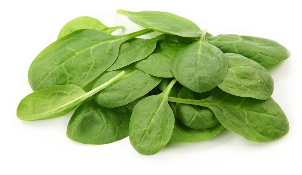 yugsly's tweet image. Who up Eating Spinach? Loving &amp;amp; seeing spinach. Spinach heads unite #spinach