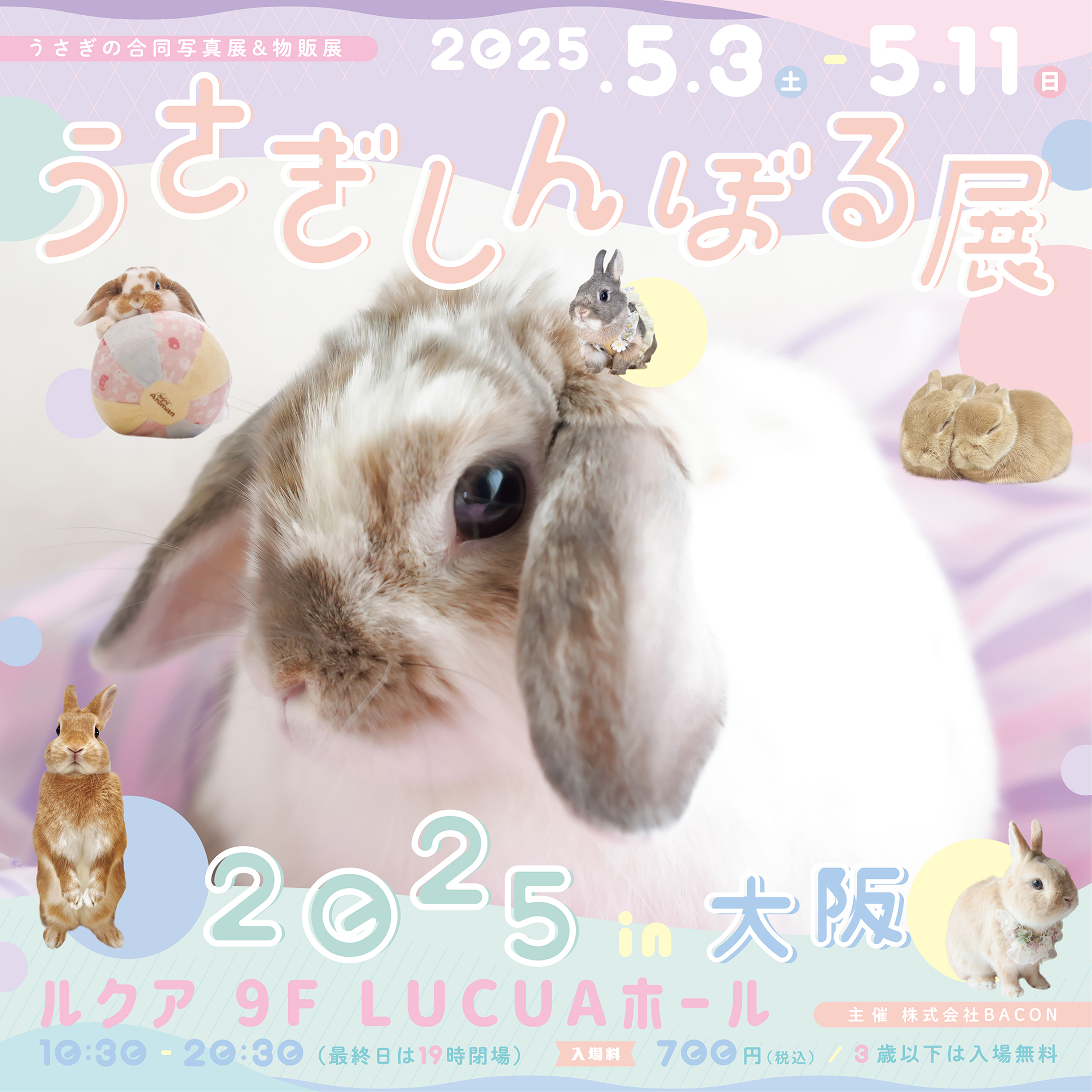 百福堂🐰5/3うさぎしんぼる展&モノヴィレ (@momofukudou) / X 百福堂🐰5/3うさぎしんぼる展&モノヴィレ (@momofukudou) / X