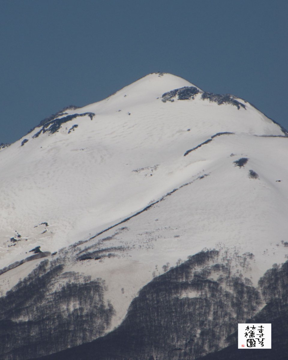 雪林檎さま 専用 価格｜245/80R17.5 133/131J ZEN 702ZE ヨコハマタイヤ YOKOHAMA