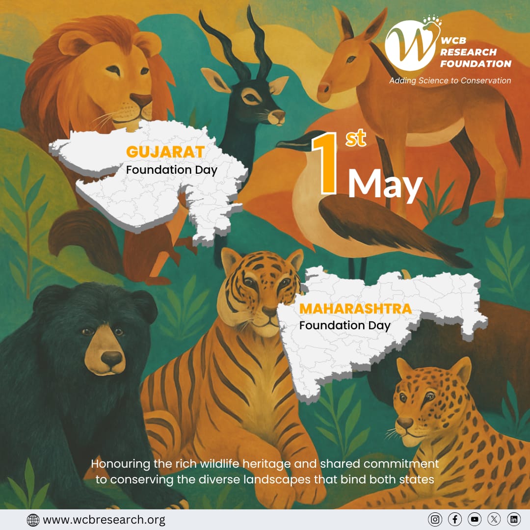 Honouring the vibrant natural heritage of Gujarat and Maharashtra — from the majestic Gir lions to the lush forests of the Western Ghats — as we celebrate the spirit of conservation and coexistence this Foundation Day.

#GujaratFoundationDay #MaharashtraFoundationDay #Wildlife