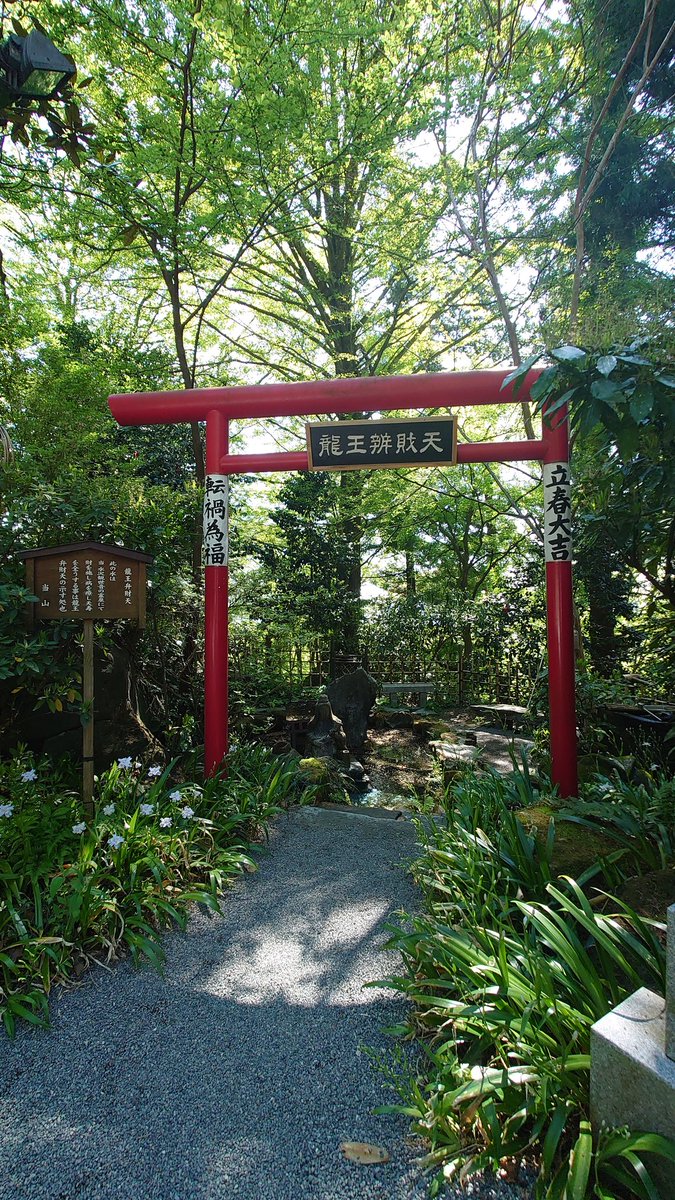 新しい一歩という節目に
水沢観世音、参拝しました

巳の日でしたので
辨財天もゆっくり手を合わせました

横型の大きめサイズの御朱印帳に合わせて御朱印を書いていただきました