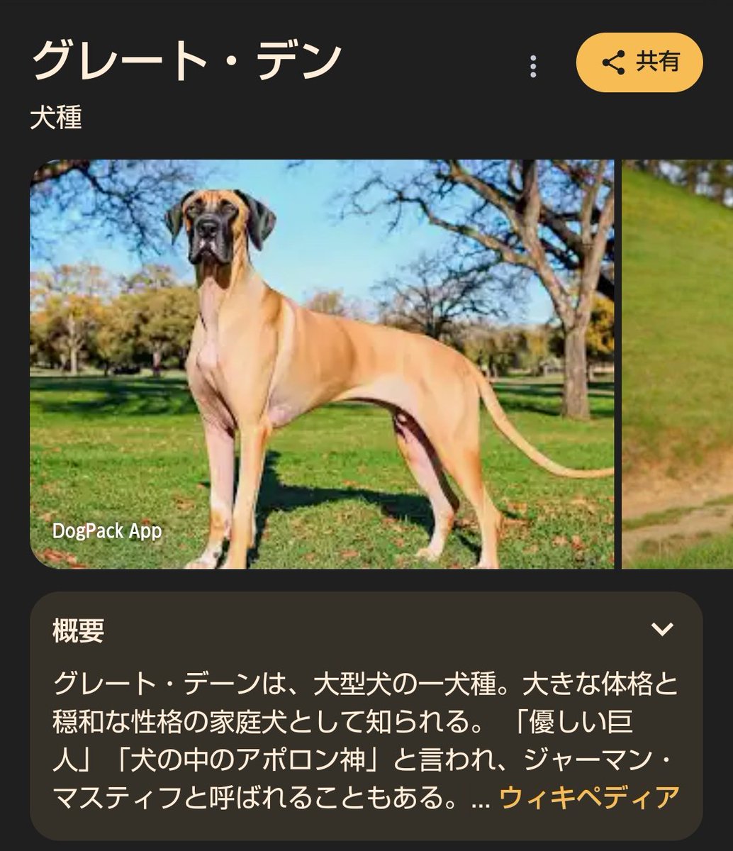 子犬グレートデーン白背景子犬マスティフ 無料ダウンロードのための画像 - Pngtree, image size:1034x1200