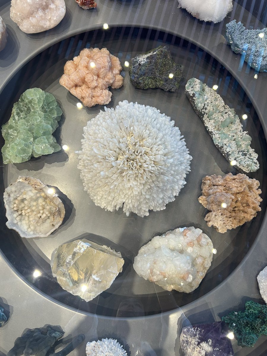 インド/バーラト館⑦🇮🇳 世界で初めて月の南極に着陸、チャンドラ