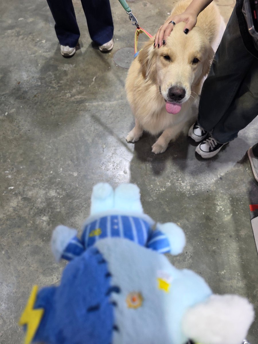 toon0704's tweet photo. ใครมางาน Pet expo ระวังตัวด้วยนะคะ ไม่งั้นจะเจอแบบเรา https://t.co/Nzni39KOoP