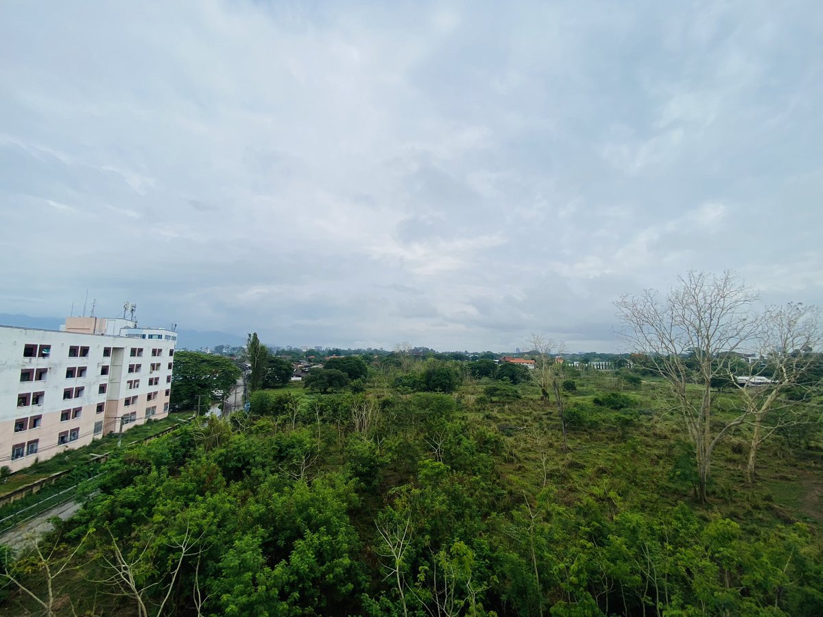 บรรยากาศ คือแบบ น่าไปนั่งชิวๆบนดอย 🤩

ว่างเกิน หาเพื่อนทัวร์คาเฟ่ 🫣🫣

#เชียงใหม่ #FWBเชียงใหม่ #หาเพื่อนคุย #หาเพื่อนกิน #หาเพื่อนเที่ยว