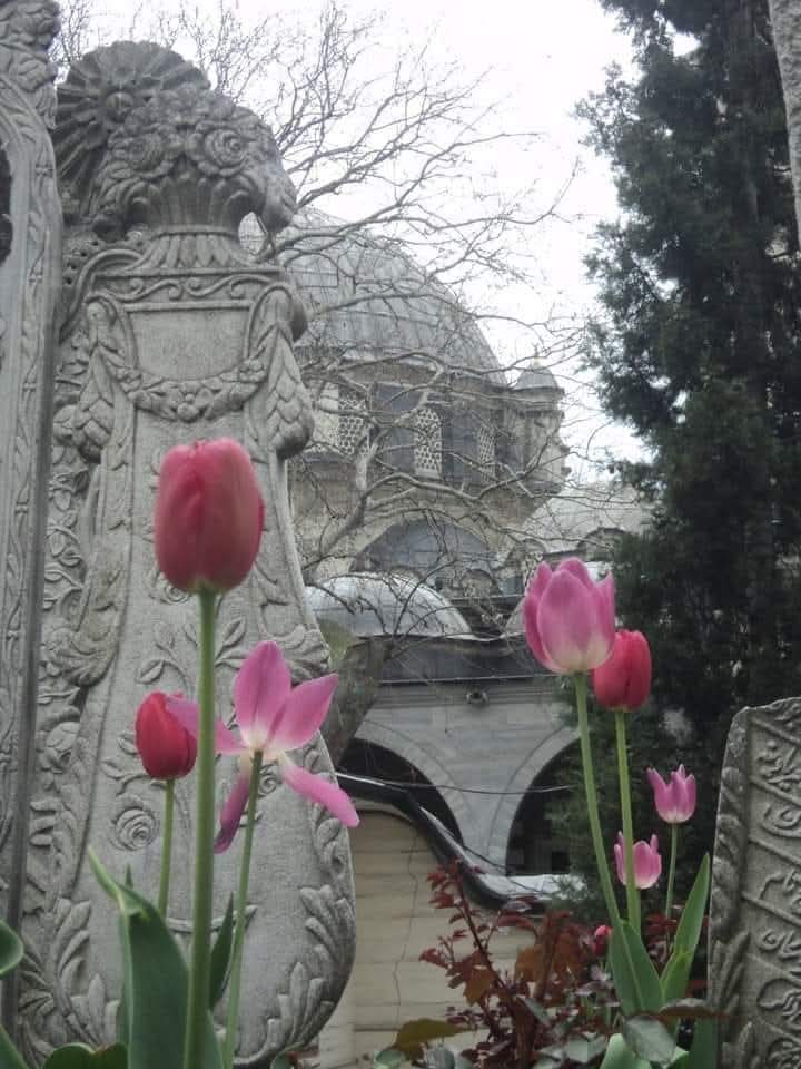 Fâni dünyadır bu aldanma sakın, 
İbret-i âyinenizdir kabristanlara bakın!..

[Kitâbe-i seng-i mezar]

📷 Eyüp Sultan'dan.