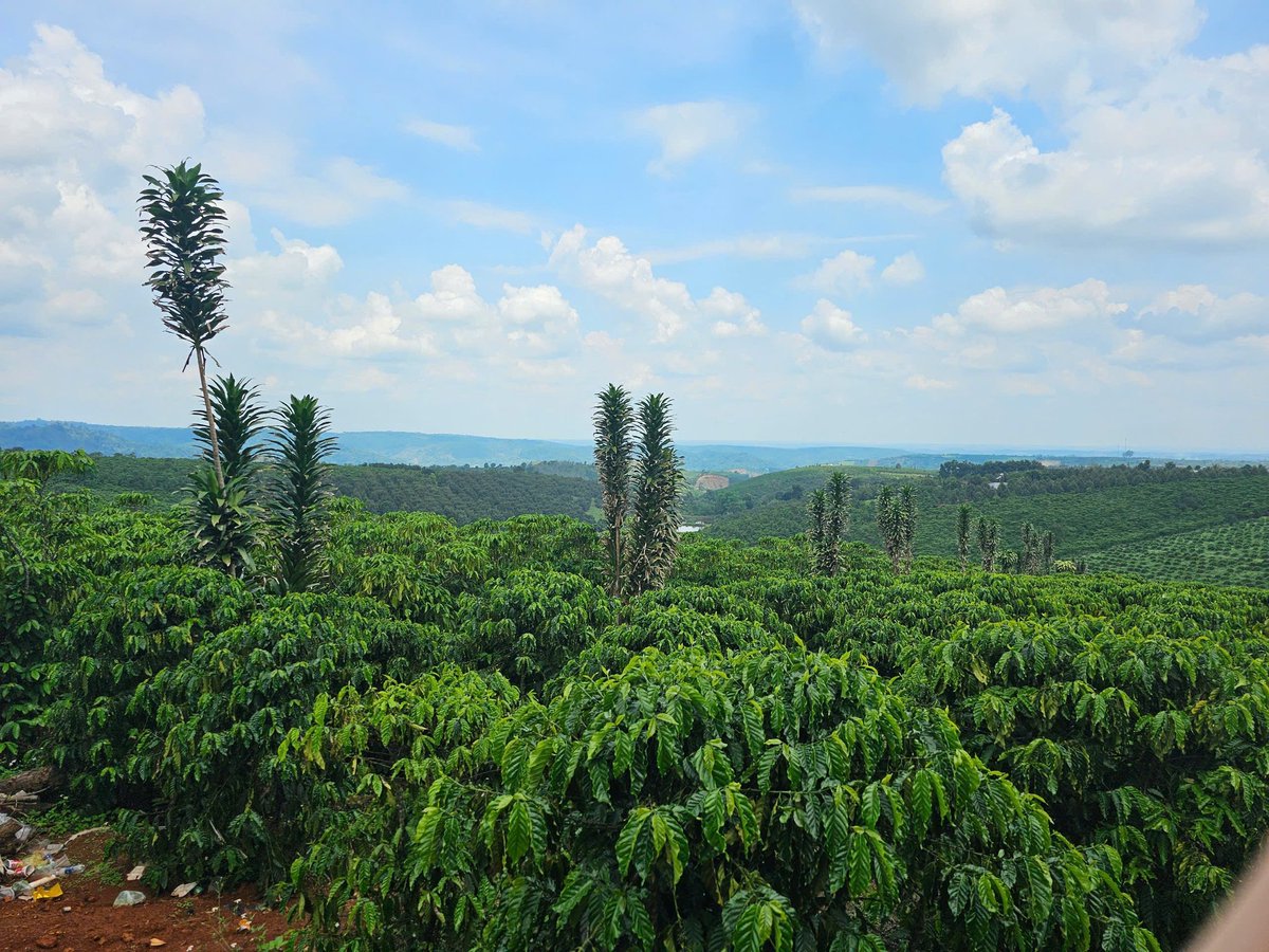 Yul 🐰 tweet media