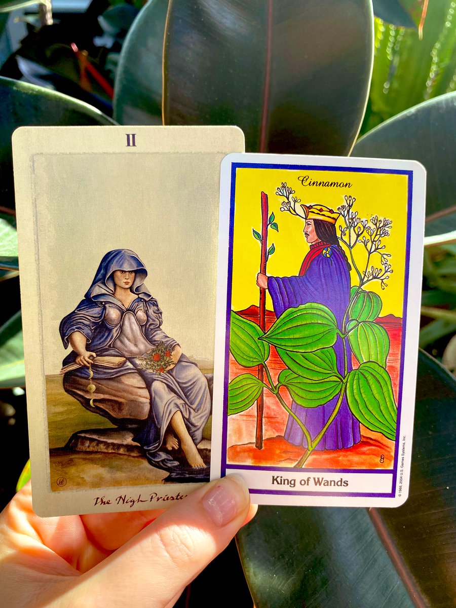 Daimonic Datura ☊ 🪷 🐸 (reality enjoyer) tweet media