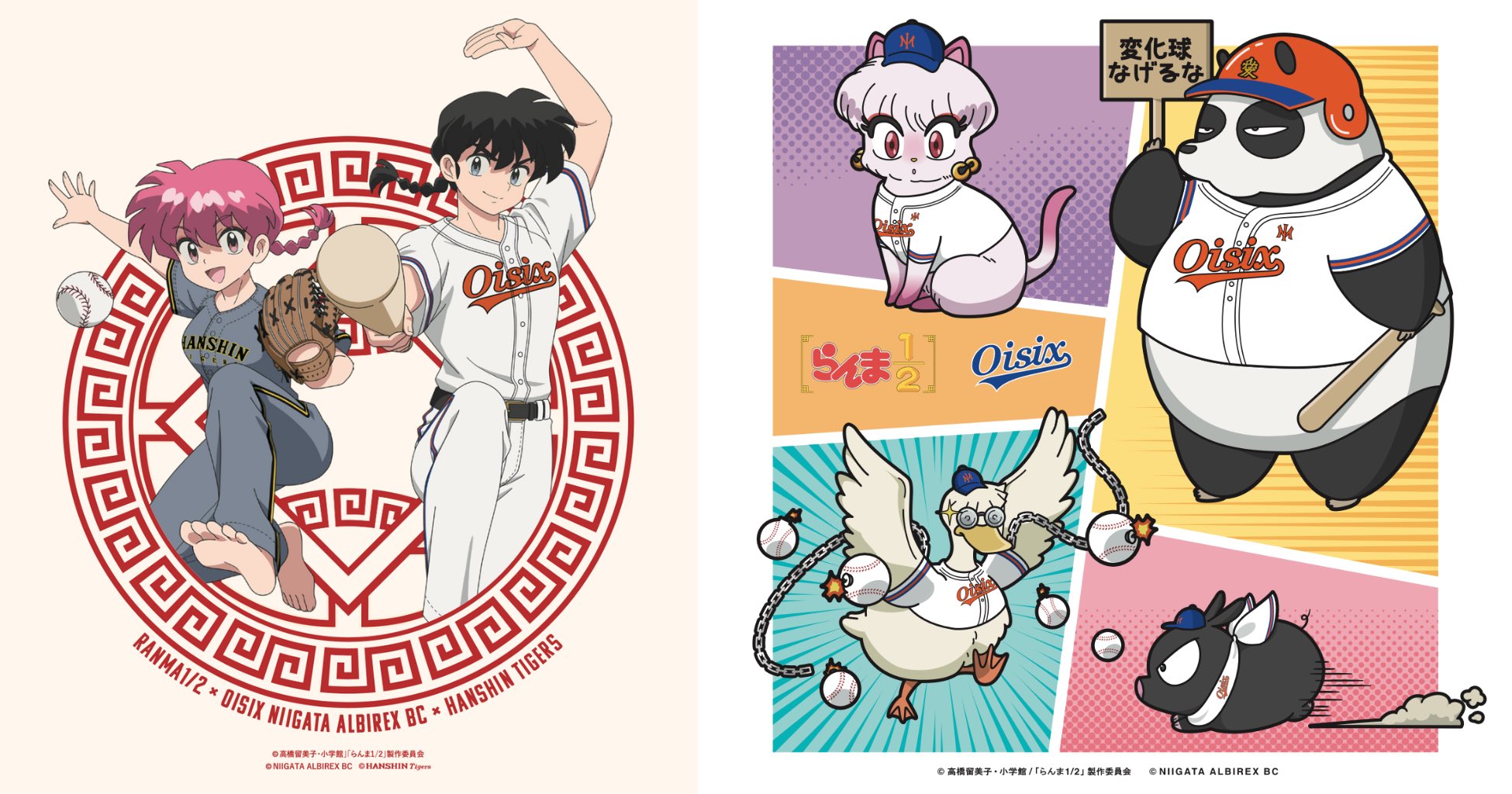 オイシックス新潟アルビレックスBC【公式】 on X: 