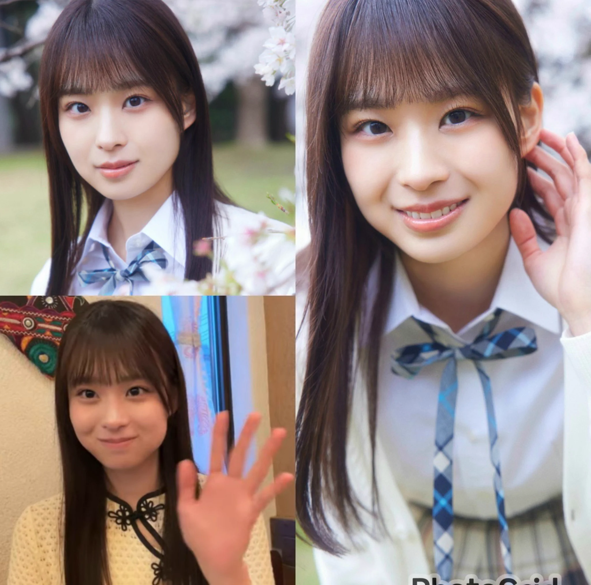 櫻坂46 on X: 