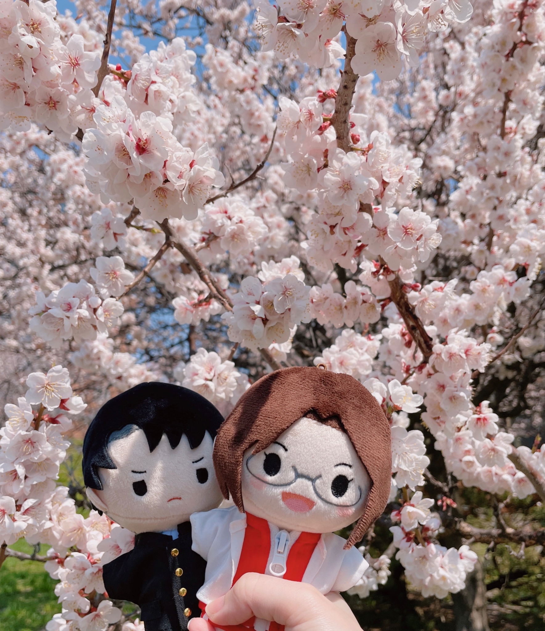 AZONE INTERNATIONAL::えっくす☆きゅーと