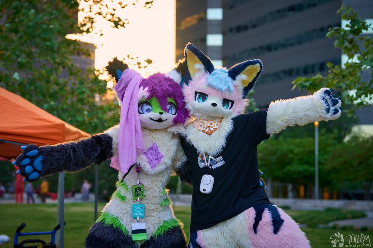 panda

📸<a href="/amphalicious/">Tullem</a>