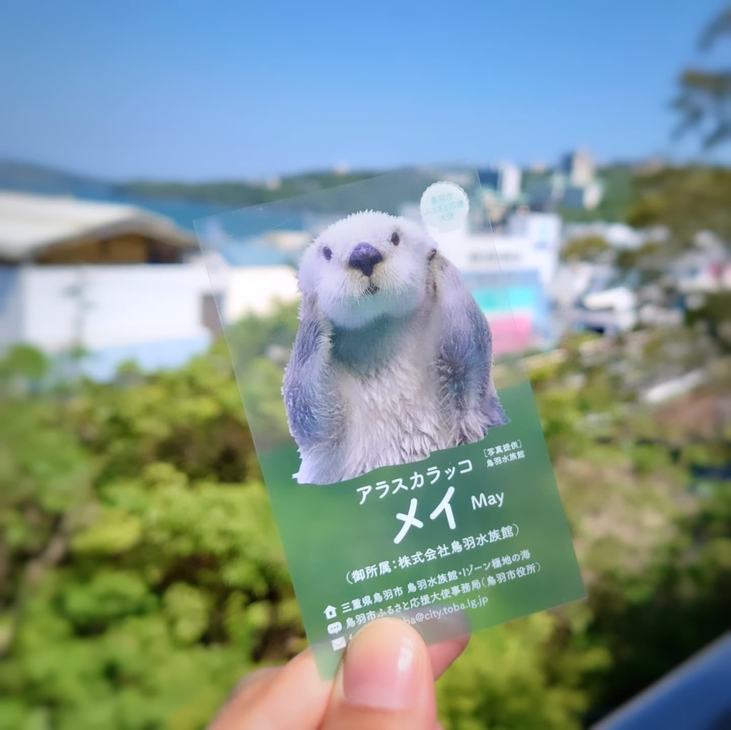 キラキラスターナイト　ふるさと納税　ふじみ野版 RIKIサイン＆名刺付き キラキラスターナイト ふるさと納税 ふじみ野版【1046984