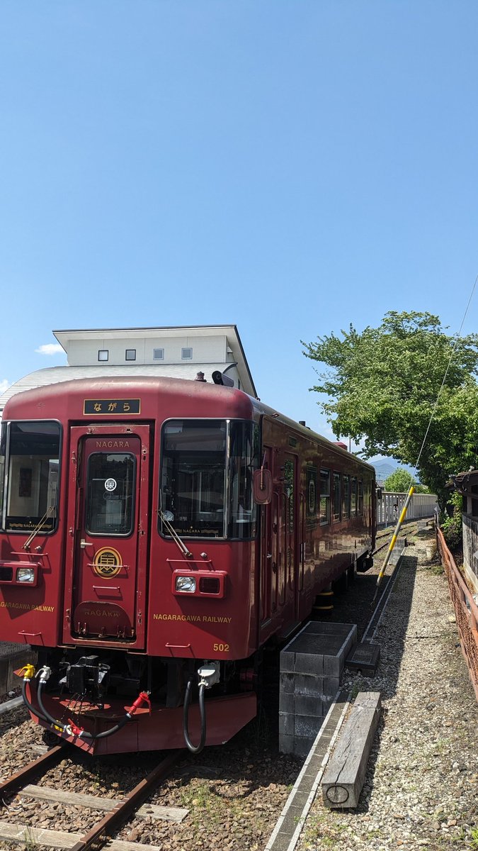 NAGARA_RAILWAY's tweet photo. 長良川鉄道オススメ観光スポット！
関駅！なぜかと言うと、関駅には車庫があるから、必ず関駅が発着になります！
午前中から昼間にかけて入出区が頻繁に行われます！
車両もいっぱい見れるし、関駅にはお土産コーナーやオリジナルガチャもあります！
皆さんのお越しをお待ちしています！ https://t.co/3llC5lm6kF