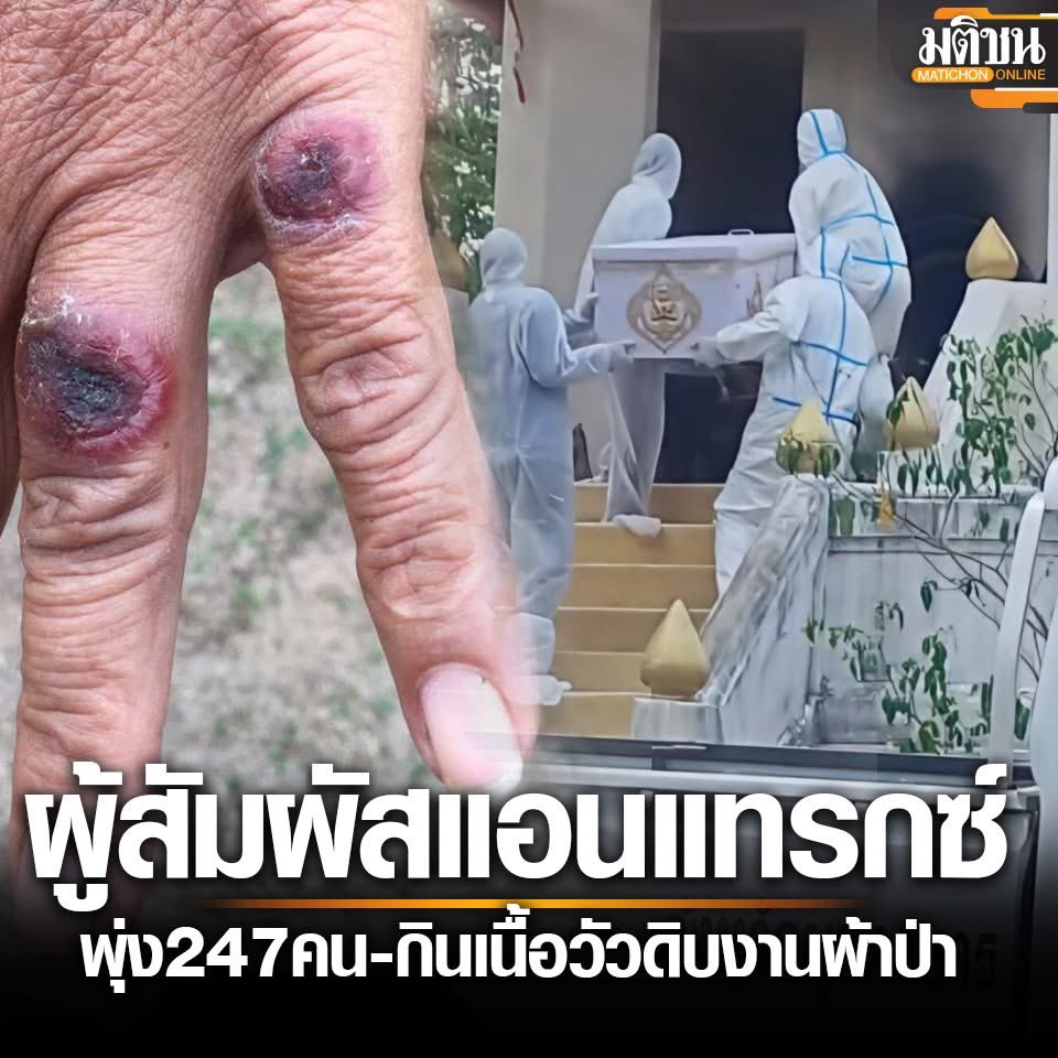 。 Mame 。A Birb from Babylonia tweet media