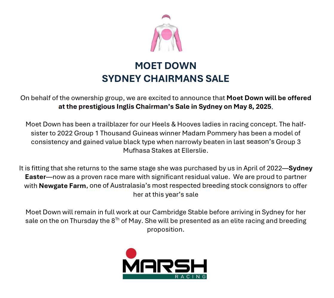 Really looking forward to the upcoming Chairman’s Sale where we are offering the beautifully bred Moet Down <a href="/inglis_sales/">Inglis</a> <a href="/NewgateFarm/">Newgate</a>