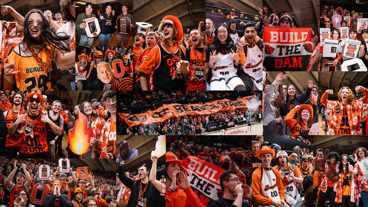 Beaver Dam tweet media