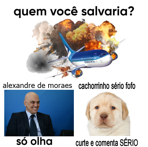 Página Séria. tweet media
