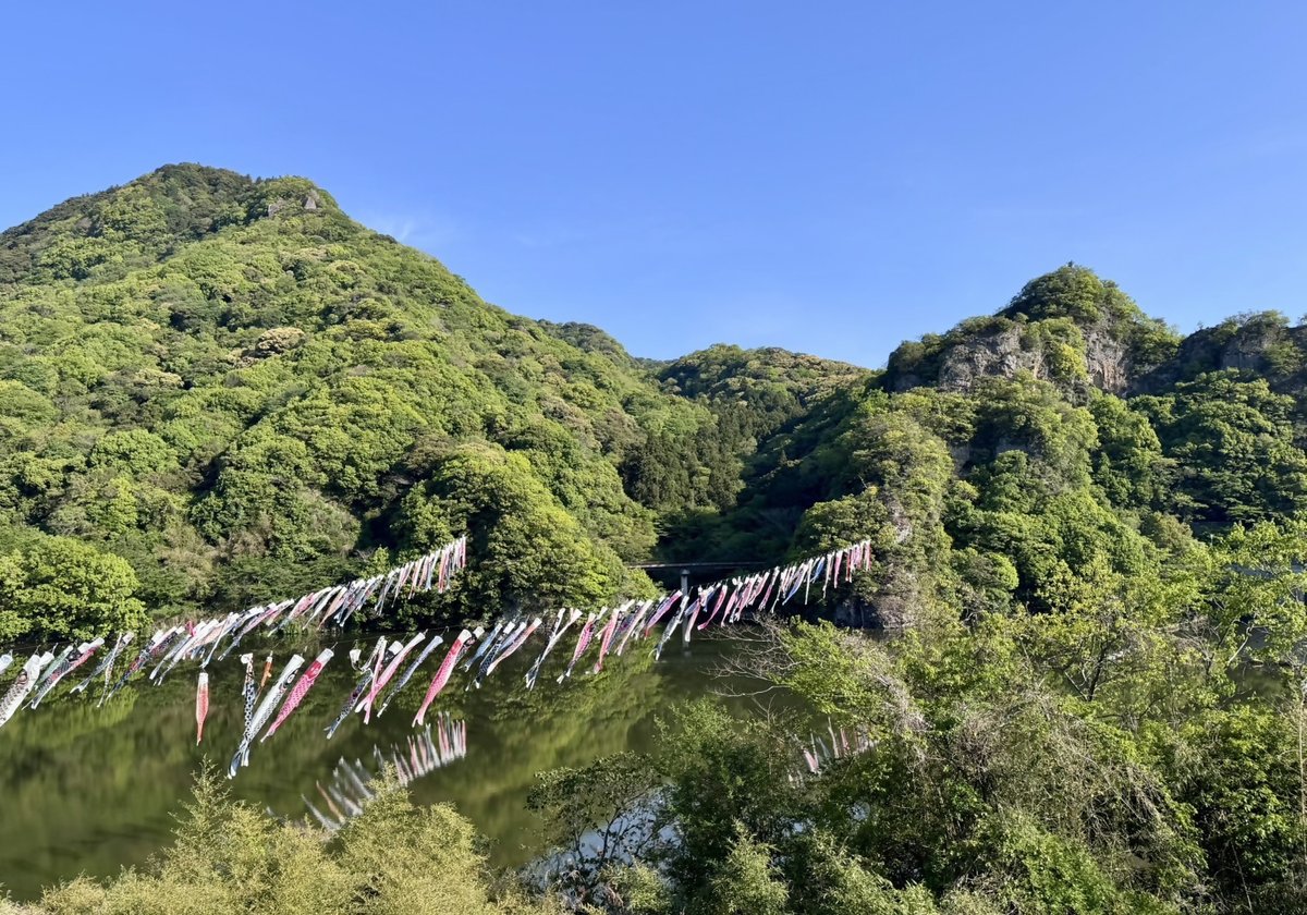 \\📷国東市市民特派員・佐藤さん// 

行入ダムのこいのぼりは5月10日まで！
今年も気持ちよさそうに泳いでいます🎏

#国東市 #行入ダム #こいのぼり #国東市市民特派員