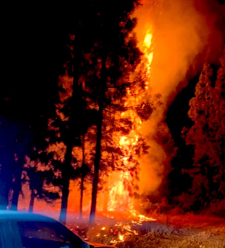 اللهم إنهم قضوا على مظاهر الحياة في غزة ولم يبقوا لأهل غزة ما يعينهم على البقاء والاستمرار 

اللهم فلا تبقِِ لهم من سبل العيش سبيلا ولا تدع لهم للحياة وسيلة ولا تذر منهم على أرض فلسطين ديارا