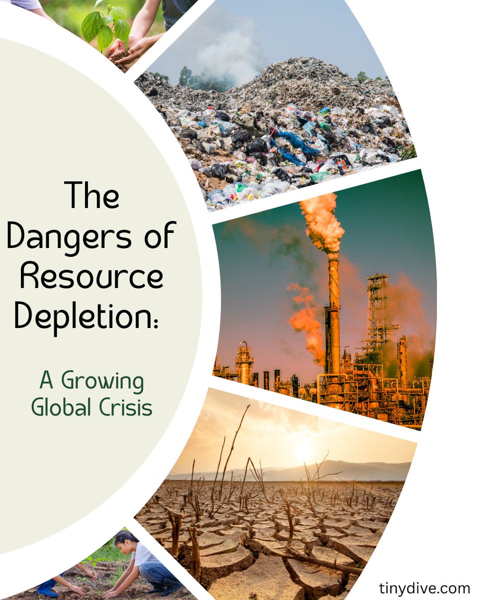 tinydive's tweet image. Today, we look at resource depletion and the dangers it represents. Tomorrow, we take a tiny dive into how ecological economics proposes to fix this issue
tinydive.com/2025/04/30/the…
