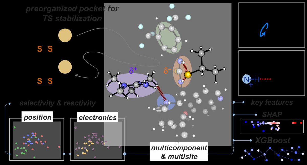 Double Impact in Angewandte! 🔥🎉 Yun Liu’s team #PKUCCME  unveils two breakthroughs: 
① Designing aryl-substituted polydisulfides (Fig1) to tackle reactivity-recyclability-performance trade-offs; 
② Collaborating with Xiamen University, they harness machine learning to decode