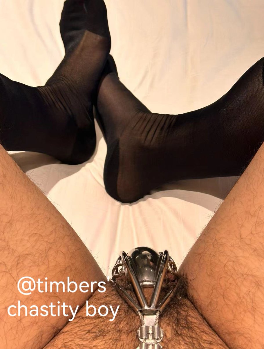 Timber-S tweet media