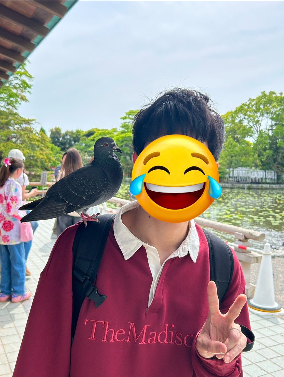 Taka_0604vr's tweet photo. 今日は二日酔いなので食べ歩き❕
鎌倉で鳩に餌あげてないのに懐かれました☺️ https://t.co/KpAGmTlv9i