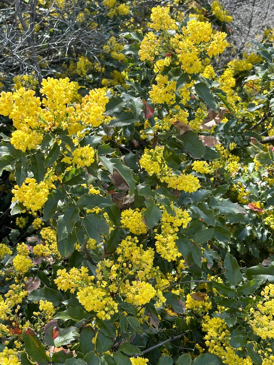 Dolly Zoom tweet media