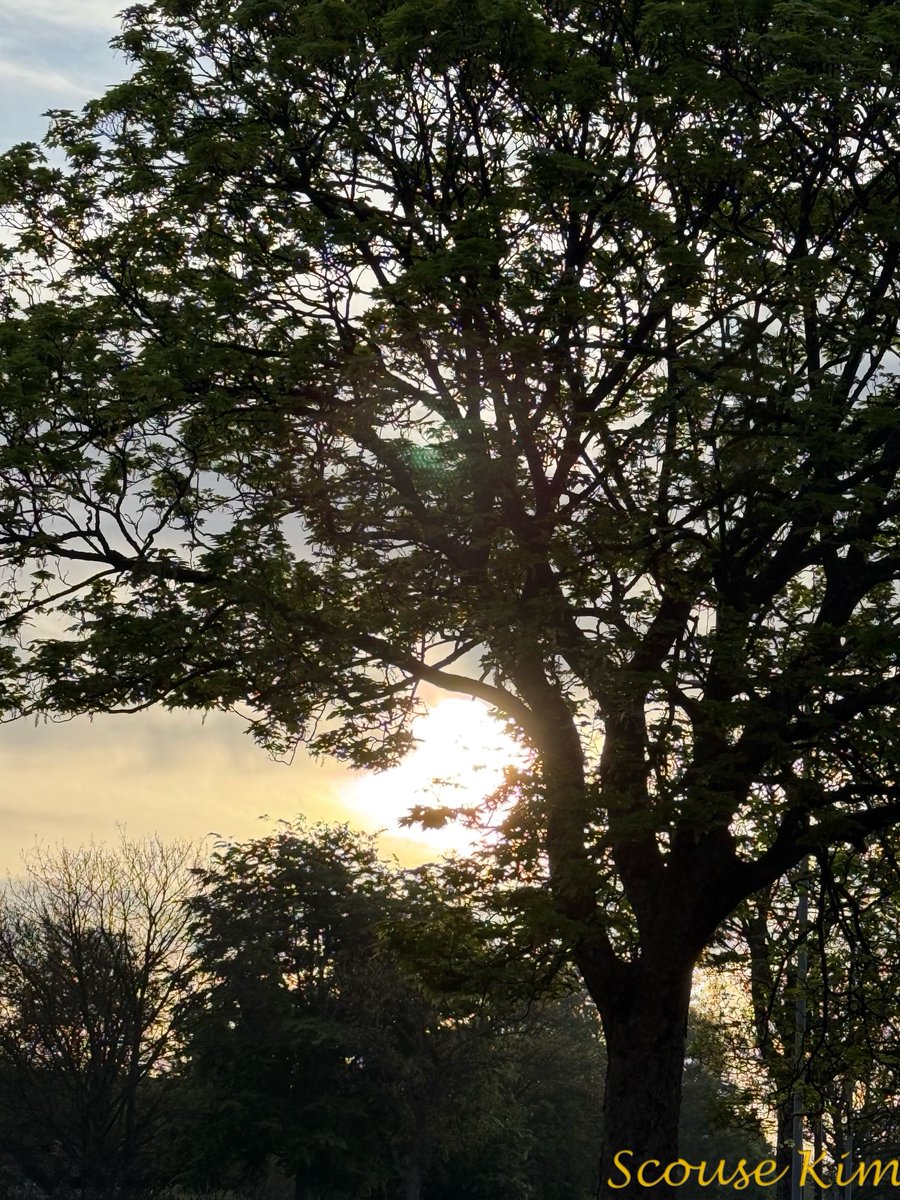 Thursday 👍👍👍👍🥰