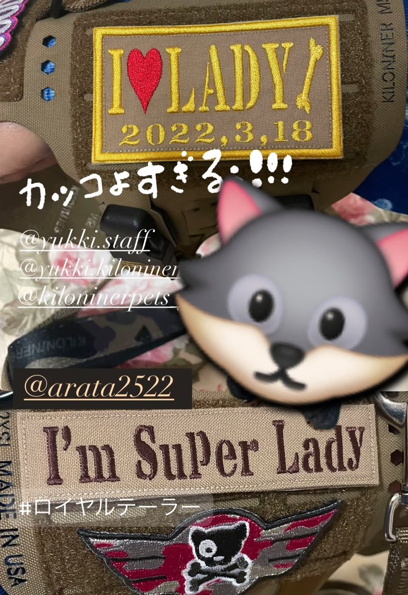 ししゅう屋さん ロイヤルテーラー (@nfx3anrv4ystxzm) on Twitter photo Instagram投稿📷✨
オリジナルワッペンパッチ&
ネームテープ🧵🪡
ご注文ありがとうございました💙
(人´∀`*)Thanks! Instagram投稿📷✨
オリジナルワッペンパッチ&
ネームテープ🧵🪡
ご注文ありがとうございました💙
(人´∀`*)Thanks!