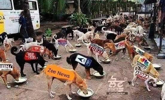 NCP (SP) & UBT (Bakul) Prashant Panchal tweet media