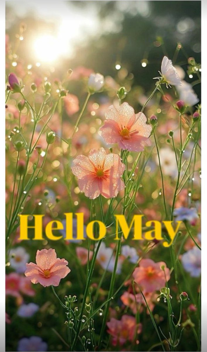 🌸

#HappyMay 
#May 
#MayDay 
#May2025