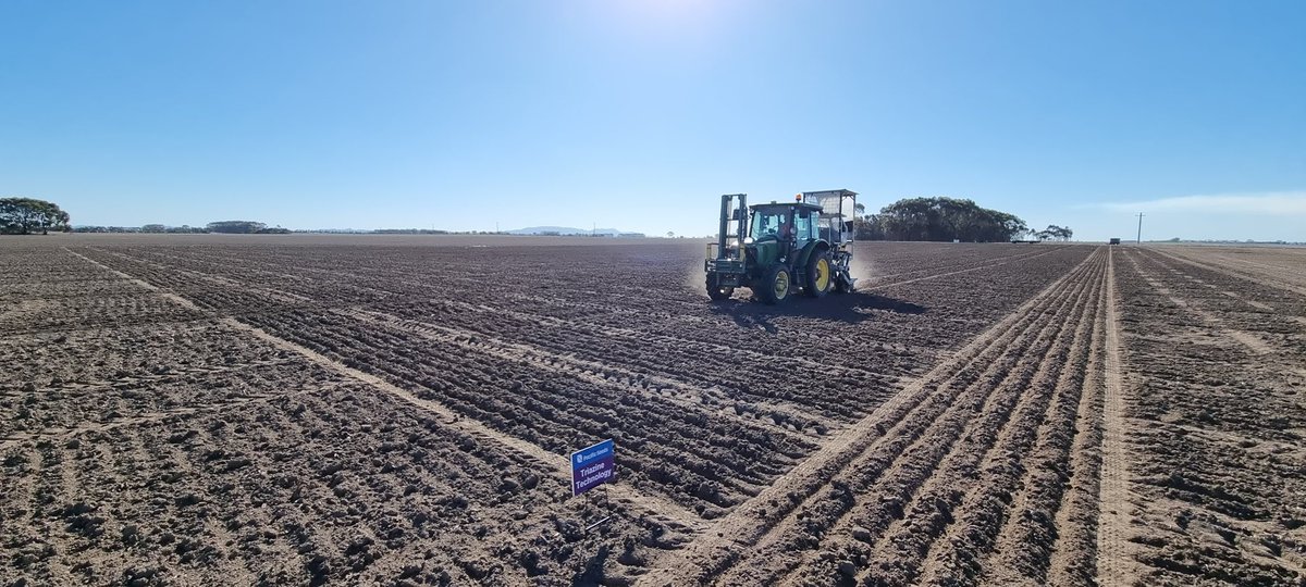 Justin Kudnig (@captaincanola) on Twitter photo 2025 Lake Bolac Vic #Hyola Innovation Systems Canola Trials all planted into moisture. Thanks to <a href="/kalyx_australia/">Eurofins Kalyx</a> More local data for growers “UNIQUELY” comparing all technologies and varieties at once !! <a href="/PacificSeeds/">Pacific Seeds</a> <a href="/AgingAgro/">Andrew Heinrich</a> <a href="/hurgl1/">Tim Wilmshurst</a> <a href="/schilgee/">iKarl iSchilg</a> <a href="/danrollsroyce/">Dan Rolls</a> <a href="/FotiouMila/">Mila Fotiou</a> 2025 Lake Bolac Vic #Hyola Innovation Systems Canola Trials all planted into moisture. Thanks to <a href="/kalyx_australia/">Eurofins Kalyx</a> More local data for growers “UNIQUELY” comparing all technologies and varieties at once !! <a href="/PacificSeeds/">Pacific Seeds</a> <a href="/AgingAgro/">Andrew Heinrich</a> <a href="/hurgl1/">Tim Wilmshurst</a> <a href="/schilgee/">iKarl iSchilg</a> <a href="/danrollsroyce/">Dan Rolls</a> <a href="/FotiouMila/">Mila Fotiou</a>