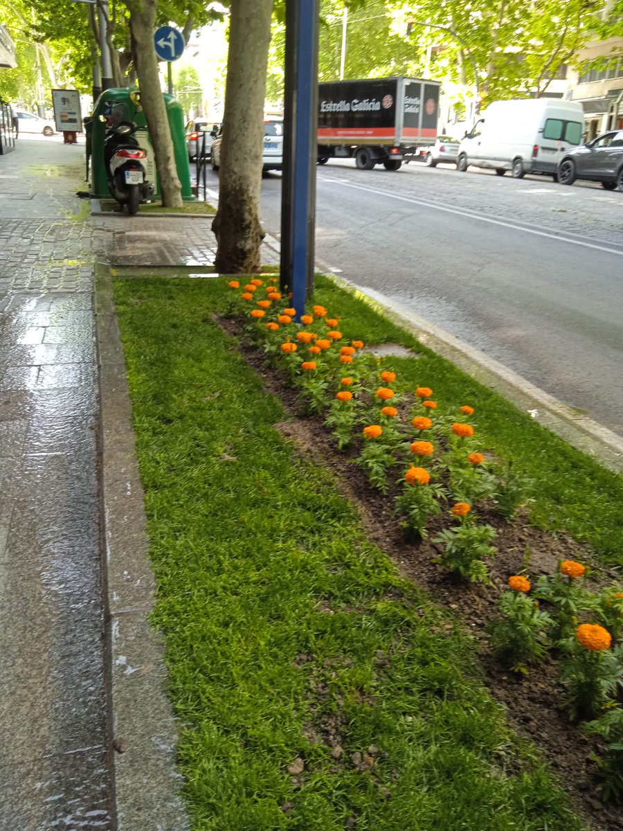 Ed. Ambiental Jaén tweet media