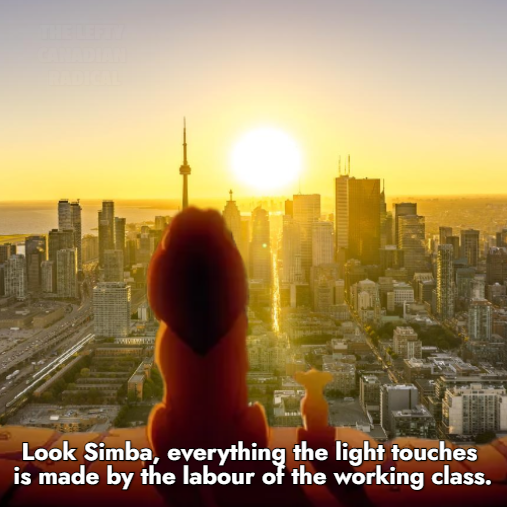 The Lefty Canadian Radical 🇵🇸 tweet media