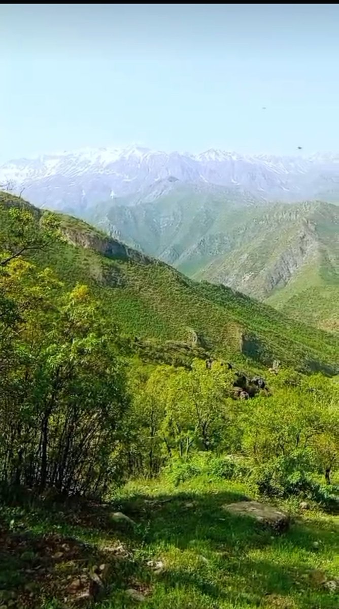 Sordular neden aşık oldun işte kanıtı