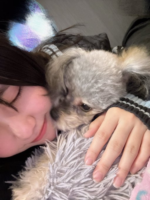 櫻井佑音のTwitter画像21