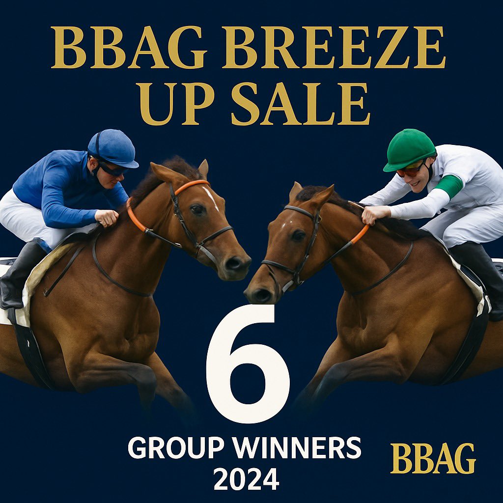 Ready for the next star? ✨
The BBAG Frühjahrs-Auktion catalog is live on 3forONE!

Featuring nearly 50 horses incl. the first 2YOs by JAPAN &amp; ALSON 🐎

Breeze Up: May 29 
Auction: May 30 in Baden-Baden

Don’t miss out!