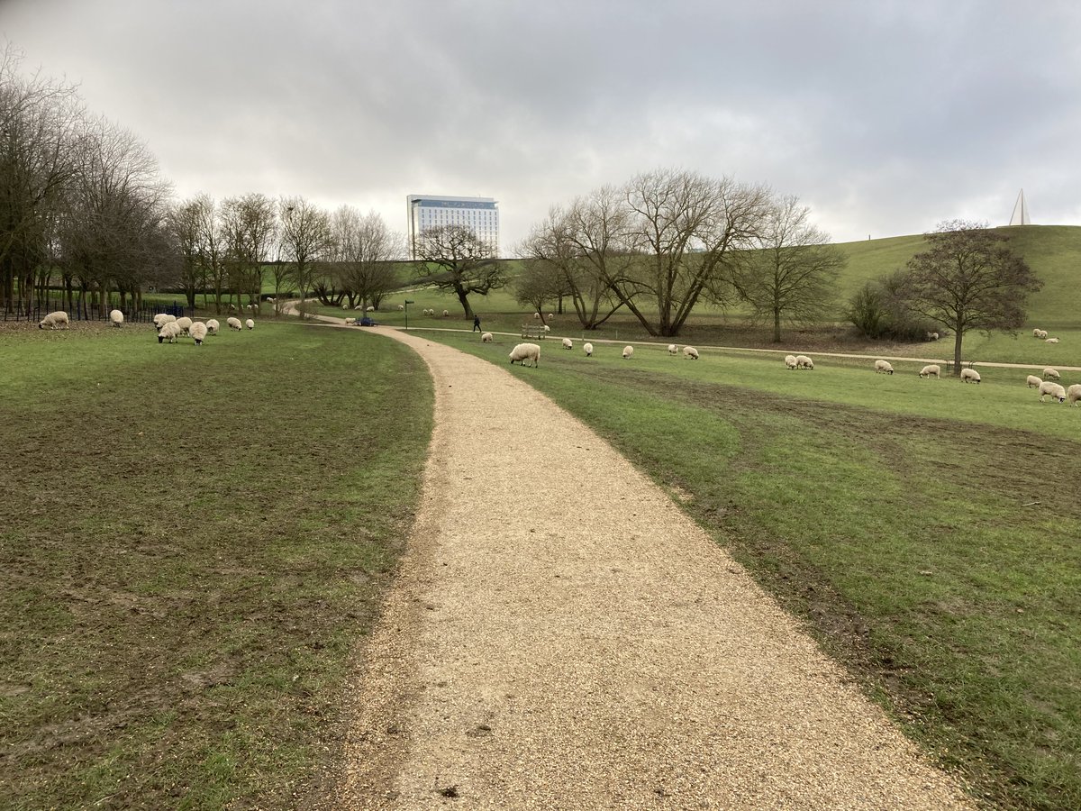 There is only one city in the country where this can happen so close to the city centre #LoveMK