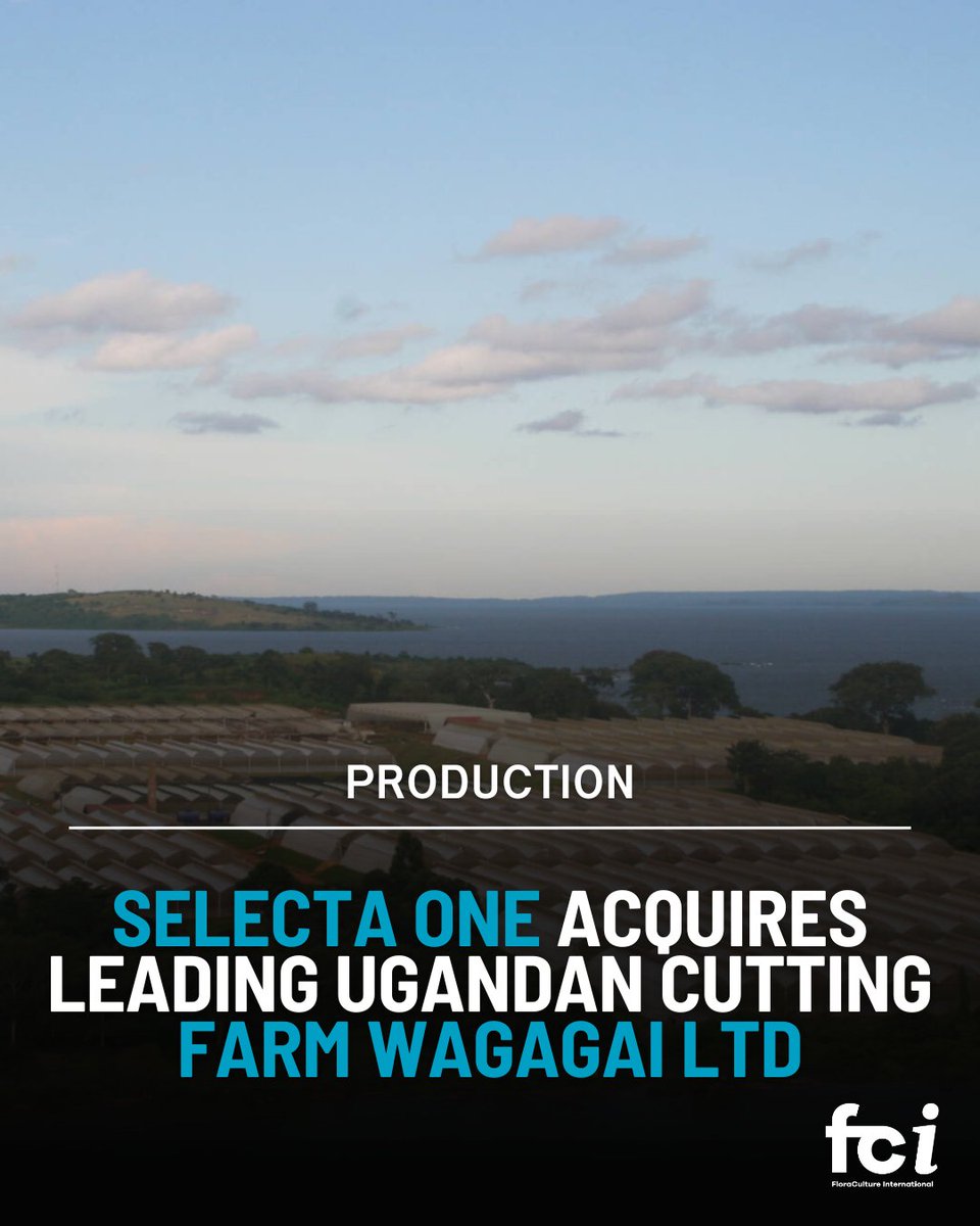 Selecta One, a global leader in breeding and young plant production, has announced the acquisition of Wagagai Ltd., one of the world’s largest cutting farms located on the shores of Lake Victoria in Uganda. 

Find out more: aiph.org/floraculture/n…