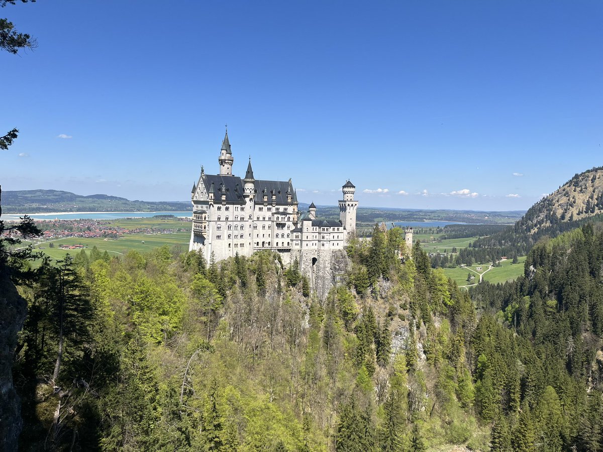 いまだち＠再スタートを応援する人🌞 tweet media