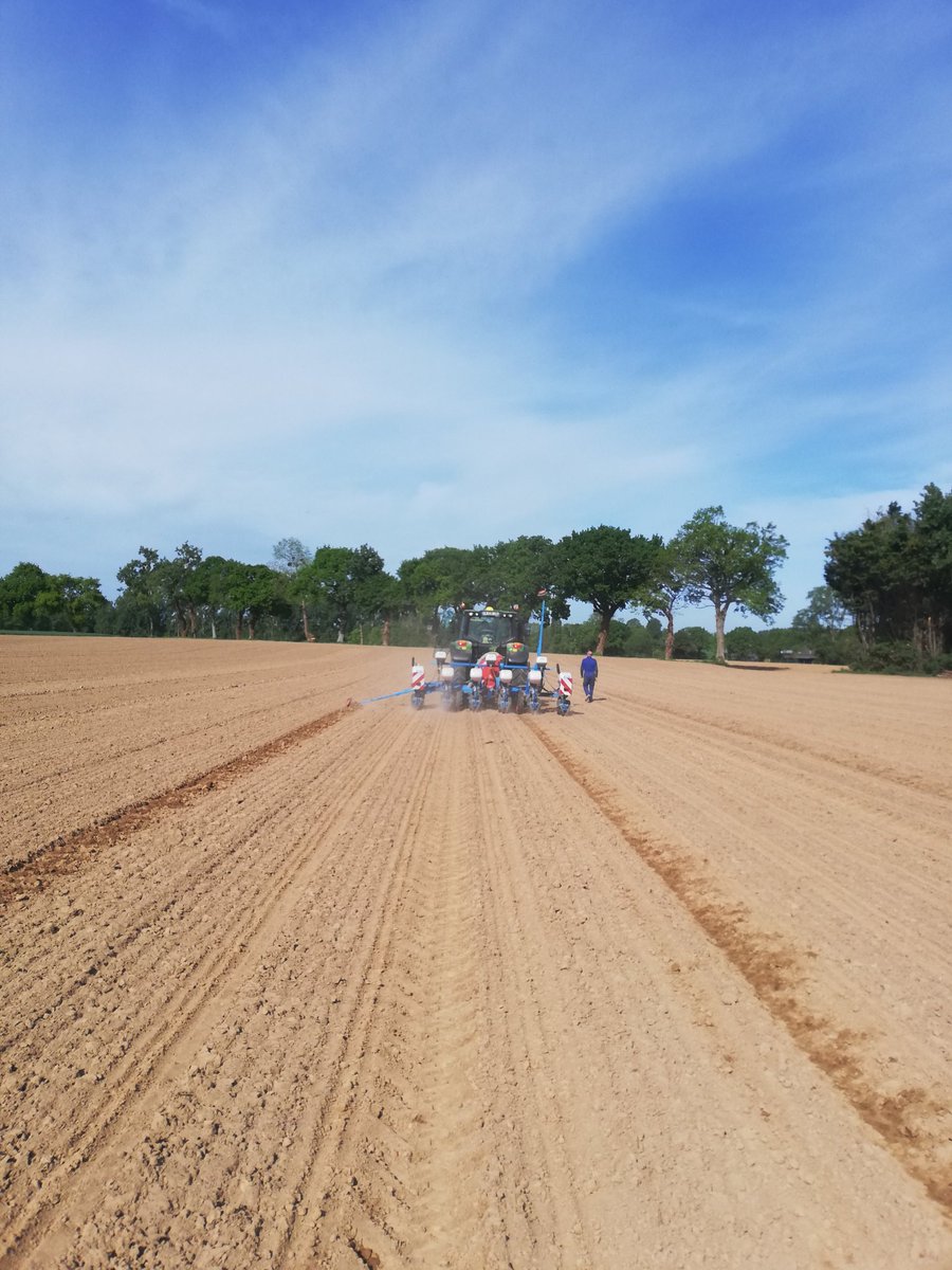 Les semenciers sont comme les agriculteurs, ils travaillent (parfois) le 1er mai 😉
Semis de ma collection privée #MAÏS 🌽 <a href="/advantaFR/">Au coeur d'ADVANTA®</a>