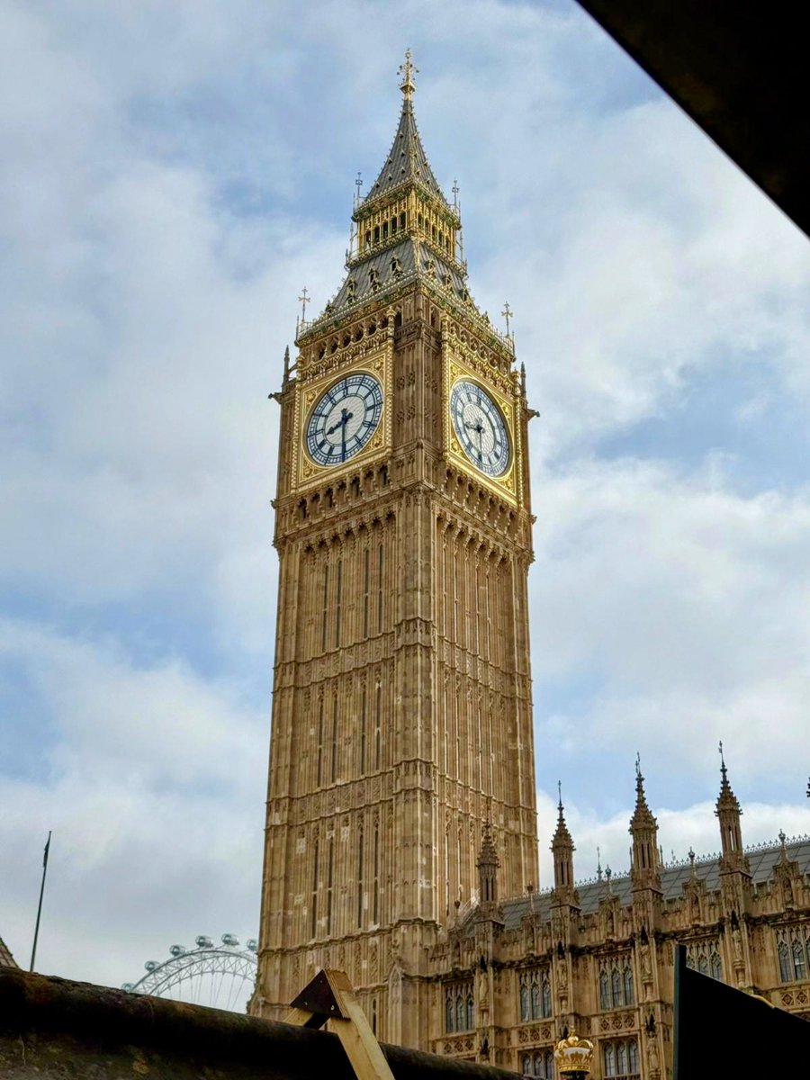 martin williams tweet media