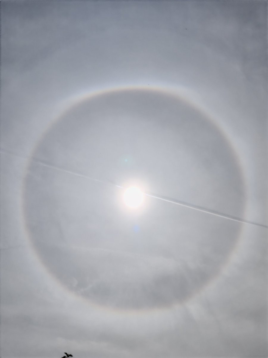 eelesey 👻 tweet media