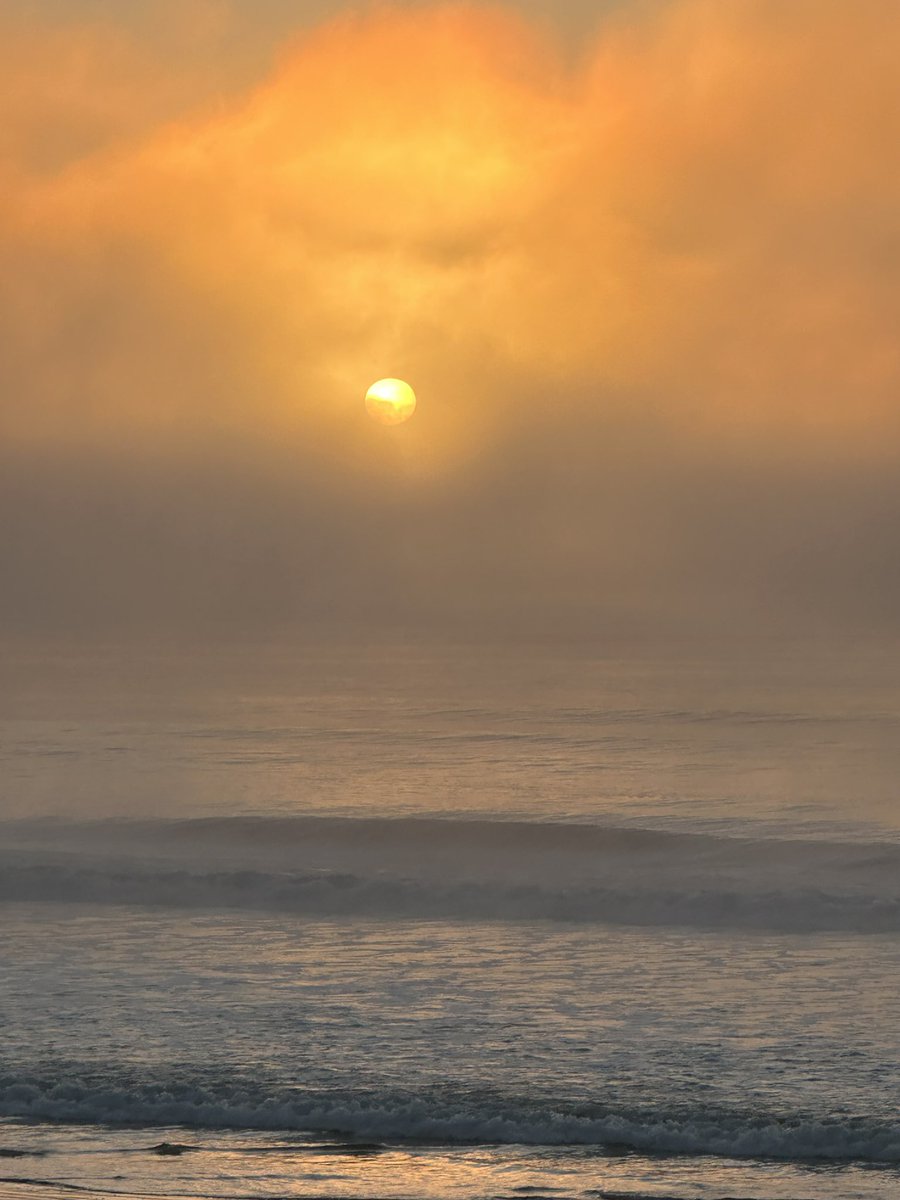 Frío amanecer, salió el 🌞 entre mucha bruma. Temprano un jinete paseando un su caballo 🏇🏇
Costa Azul, La Paloma , Rocha
<a href="/TurismoRocha/">Turismo Rocha</a> <a href="/Uruguay_Natural/">Uruguay Natural</a> <a href="/MAmbienteuy/">Ministerio de Ambiente</a>