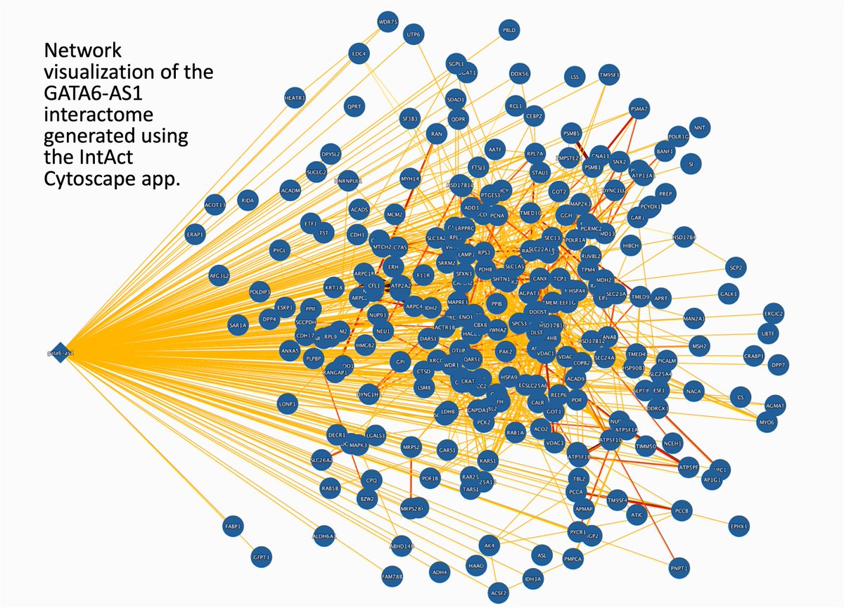 IntAct is expanding its Inflammatory Bowel Disease dataset (lnkd.in/ejkr8tKx)! Our latest addition is the lncRNA GATA6-AS1 interactome, from K.E. Sosnovski et al. (2023) in Caco-2 cells (lnkd.in/eiYaFSdK).

➡️ Learn more about this! (lnkd.in/e2RSQEZZ)